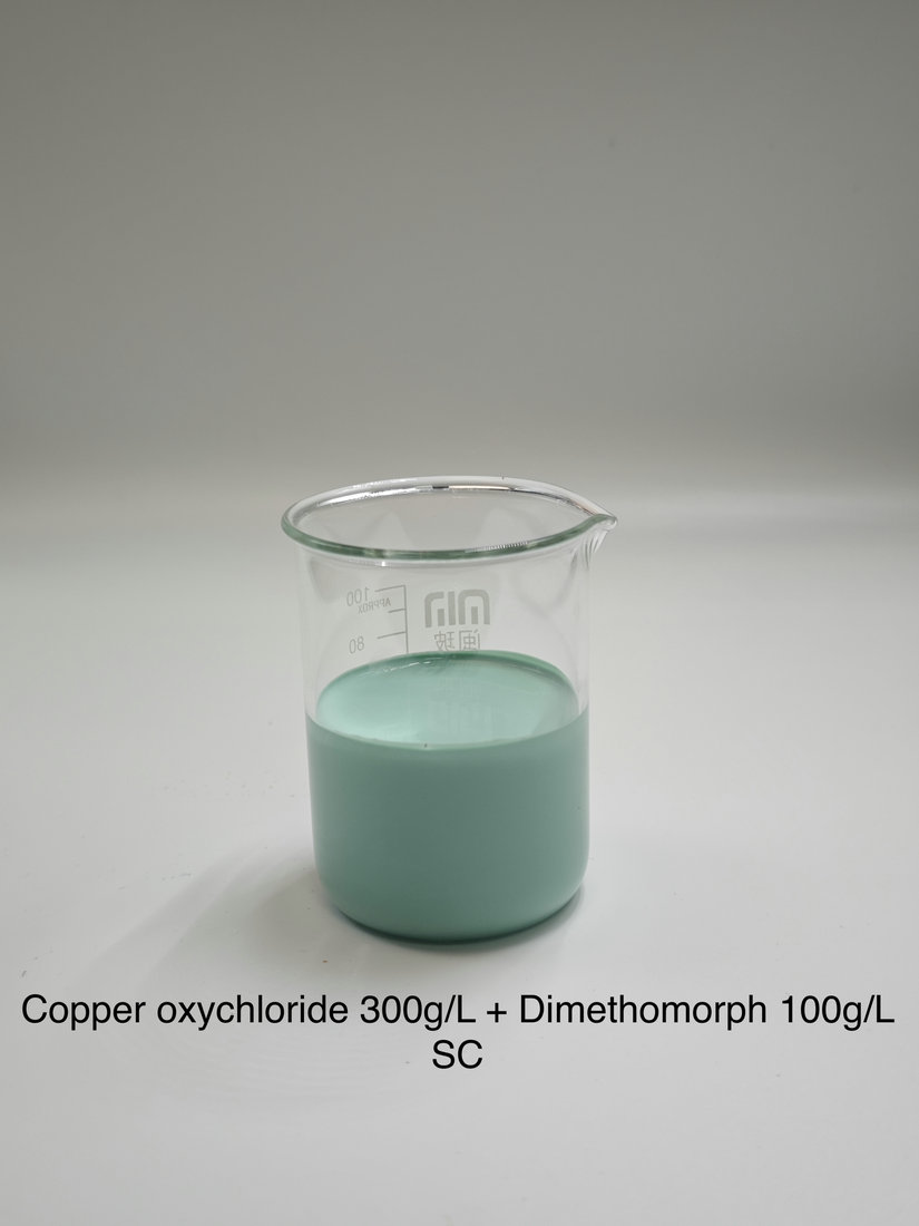Copper oxychloride 300g/L + Dimethomorph 100g/L SC